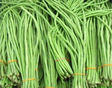 Long Yard Beans